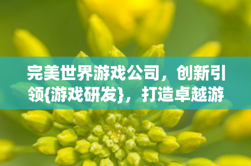 完美世界游戏公司图片