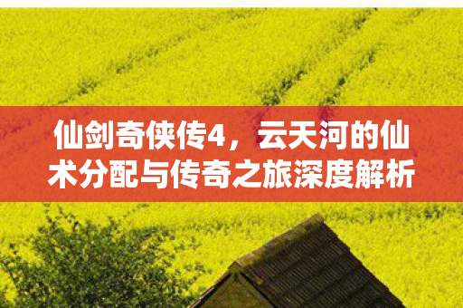 仙剑奇侠传4，云天河的仙术分配与传奇之旅深度解析