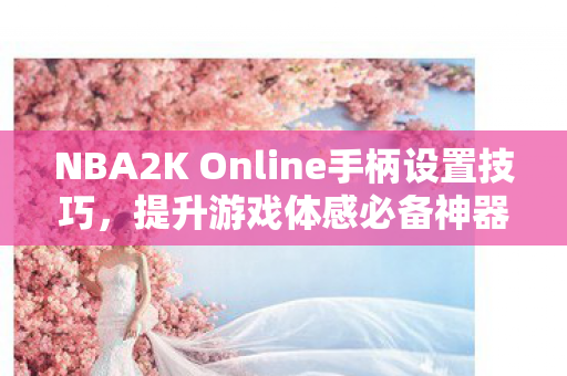 NBA2K Online手柄设置技巧,提升游戏体感必备神器! NBA2K Online手柄设置技巧,提升游戏体感必备神器!
