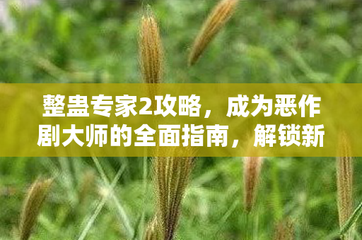 整蛊专家2攻略，成为恶作剧大师的全面指南，解锁新技能