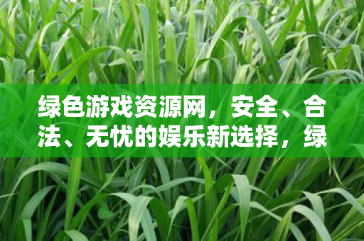 绿色游戏资源网，安全、合法、无忧的娱乐新选择，绿色游戏下载！