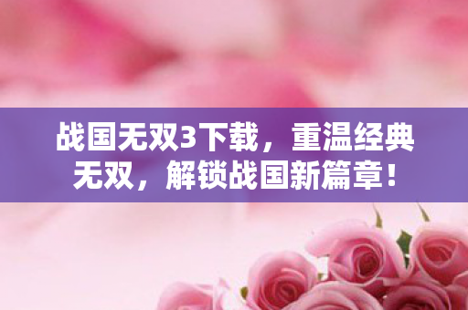 战国无双3下载，重温经典无双，解锁战国新篇章！
