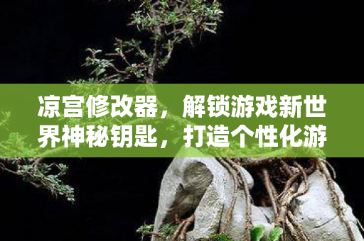 凉宫修改器，解锁游戏新世界神秘钥匙，打造个性化游戏体验！