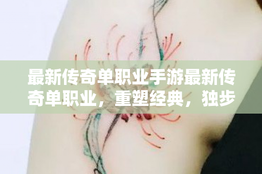 最新传奇单职业手游最新传奇单职业，重塑经典，独步江湖，重塑经典，独步江湖，最新传奇单职业手游来袭