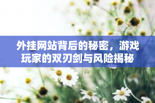 外挂网站背后的秘密,游戏玩家的双刃剑与风险揭秘 外挂网站背后的秘密,游戏玩家的双刃剑与风险揭秘