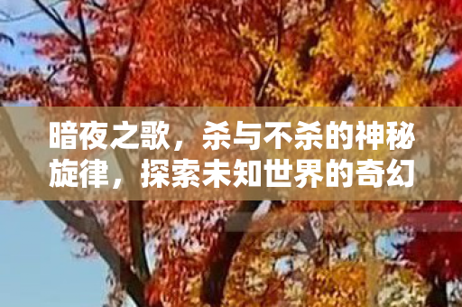 暗夜之歌，杀与不杀的神秘旋律，探索未知世界的奇幻之旅！