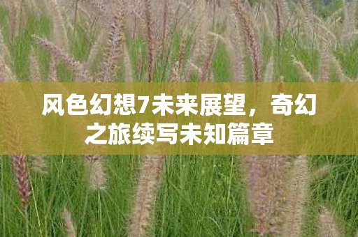 风色幻想7未来展望,奇幻之旅续写未知篇章 风色幻想7未来展望,奇幻之旅续写未知篇章