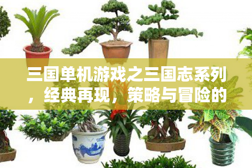 三国单机游戏之三国志系列,经典再现,策略与冒险的完美结合! 三国单机游戏之三国志系列,经典再现,策略与冒险的完美结合!