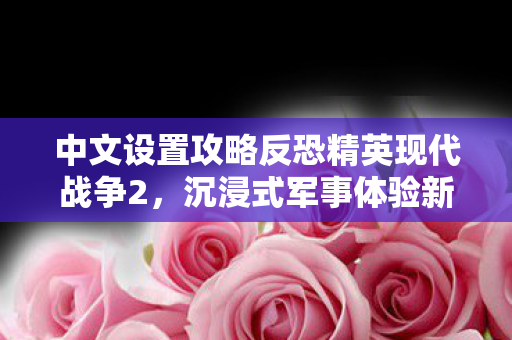 中文设置攻略反恐精英现代战争2，沉浸式军事体验新篇章
