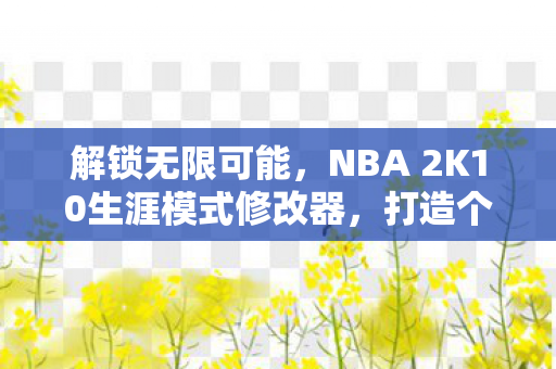 解锁无限可能,NBA 2K10生涯模式修改器,打造个性化球员体验 解锁无限可能,NBA 2K10生涯模式修改器,打造个性化球员体验