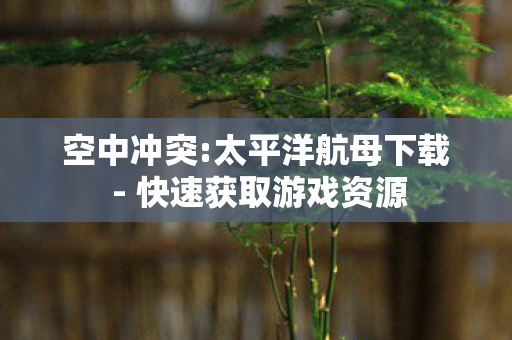 空中冲突:太平洋航母下载 - 快速获取游戏资源 空中冲突:太平洋航母下载 - 快速获取游戏资源