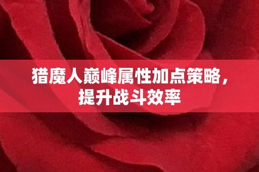 猎魔人巅峰属性加点策略，提升战斗效率