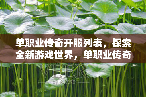 单职业传奇开服列表,探索全新游戏世界,单职业传奇开服列表,探索全新游戏世界 单职业传奇开服列表,探索全新游戏世界,单职业传奇开服列表,探索全新游戏世界