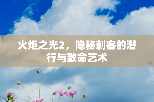 火炬之光2，隐秘刺客的潜行与致命艺术