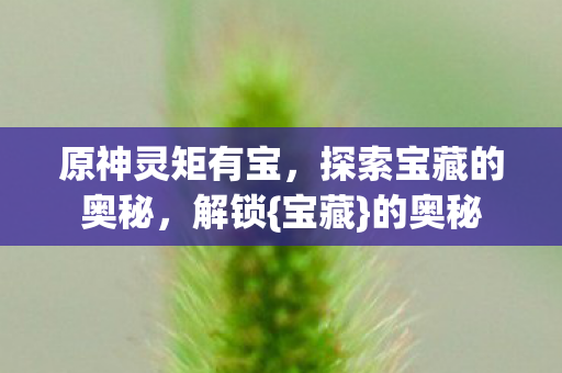 原神灵矩有宝,探索宝藏的奥秘,解锁{宝藏}的奥秘 原神灵矩有宝,探索宝藏的奥秘,解锁{宝藏}的奥秘