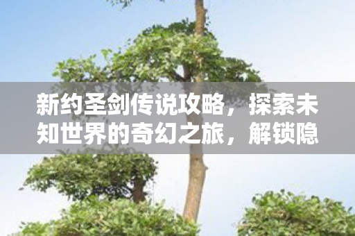 新约圣剑传说攻略,探索未知世界的奇幻之旅,解锁隐藏关卡! 新约圣剑传说攻略,探索未知世界的奇幻之旅,解锁隐藏关卡!