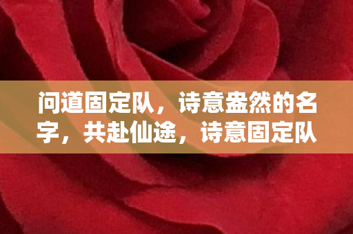 问道固定队,诗意盎然的名字,共赴仙途,诗意固定队名共赴仙途 问道固定队,诗意盎然的名字,共赴仙途,诗意固定队名共赴仙途