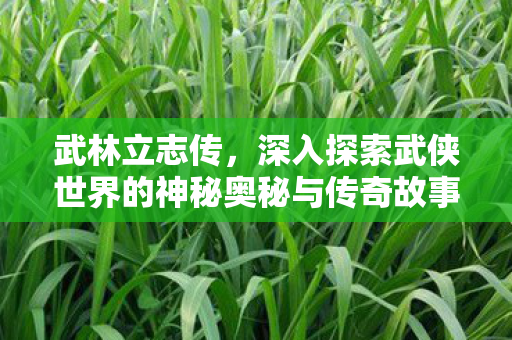 武林立志传,深入探索武侠世界的神秘奥秘与传奇故事 武林立志传,深入探索武侠世界的神秘奥秘与传奇故事