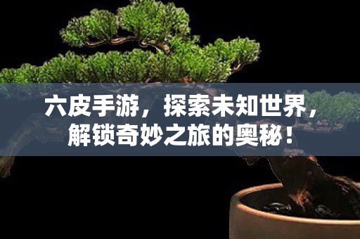 六皮手游，探索未知世界，解锁奇妙之旅的奥秘！