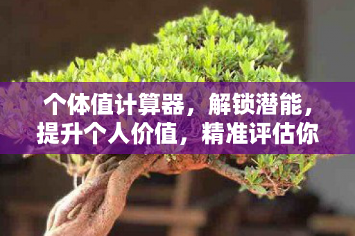 个体值计算器,解锁潜能,提升个人价值,精准评估你的成长潜力 个体值计算器,解锁潜能,提升个人价值,精准评估你的成长潜力