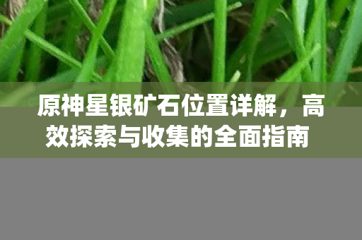 高效探索与收集的全面指南图片
