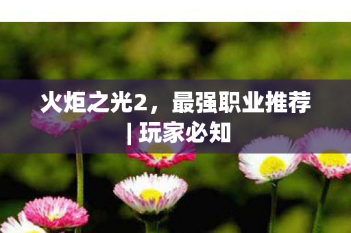 火炬之光2，最强职业推荐 | 玩家必知