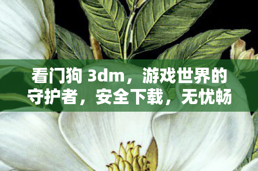 看门狗 3dm，游戏世界的守护者，安全下载，无忧畅玩！