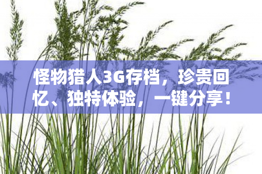 怪物猎人3G存档，珍贵回忆、独特体验，一键分享！