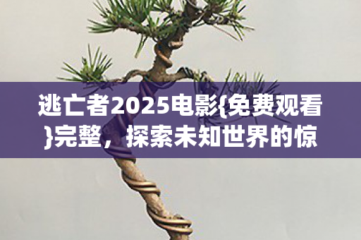 逃亡者2025电影{免费观看}完整,探索未知世界的惊险冒险之旅 逃亡者2025电影{免费观看}完整,探索未知世界的惊险冒险之旅