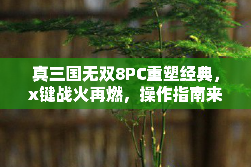 真三国无双8PC重塑经典,x键战火再燃,操作指南来袭! 真三国无双8PC重塑经典,x键战火再燃,操作指南来袭!
