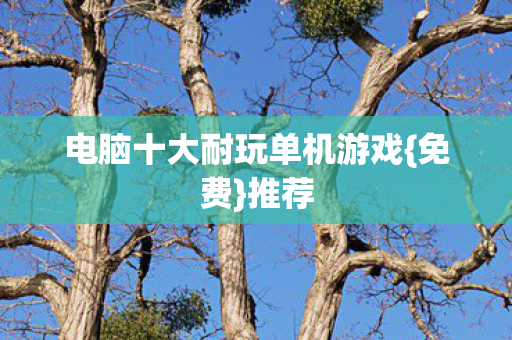 电脑十大耐玩单机游戏{免费}推荐 电脑十大耐玩单机游戏{免费}推荐