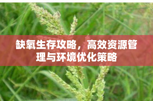 缺氧生存攻略，高效资源管理与环境优化策略