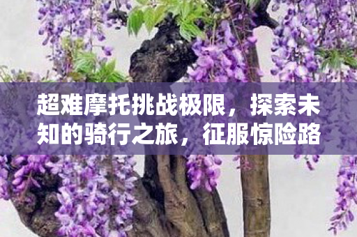 超难摩托挑战极限,探索未知的骑行之旅,征服惊险路线 超难摩托挑战极限,探索未知的骑行之旅,征服惊险路线