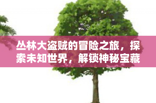 丛林大盗贼的冒险之旅，探索未知世界，解锁神秘宝藏！