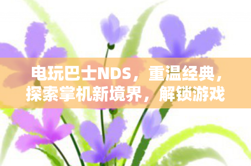 电玩巴士NDS,重温经典,探索掌机新境界,解锁游戏新体验! 电玩巴士NDS,重温经典,探索掌机新境界,解锁游戏新体验!