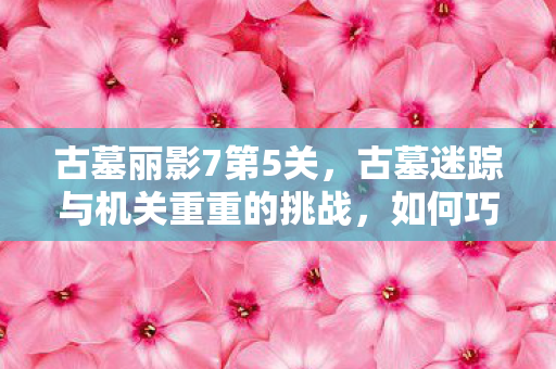 古墓丽影7第5关，古墓迷踪与机关重重的挑战，如何巧妙破解难关？