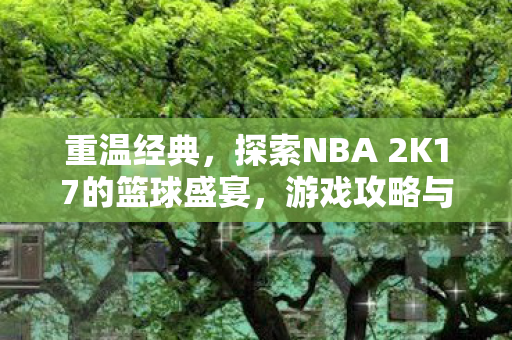 探索NBA 2K17的篮球盛宴图片