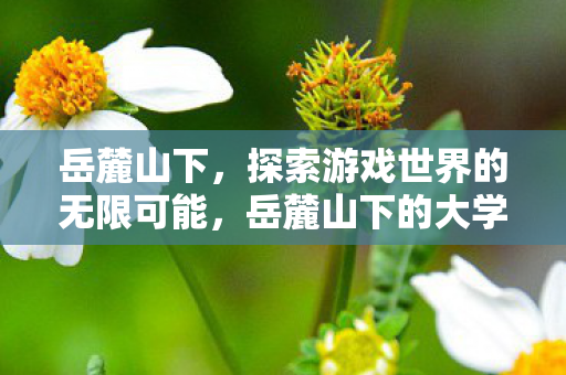 岳麓山下,探索游戏世界的无限可能,岳麓山下的大学 岳麓山下,探索游戏世界的无限可能,岳麓山下的大学