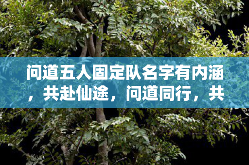 问道五人固定队名字内涵解析图片