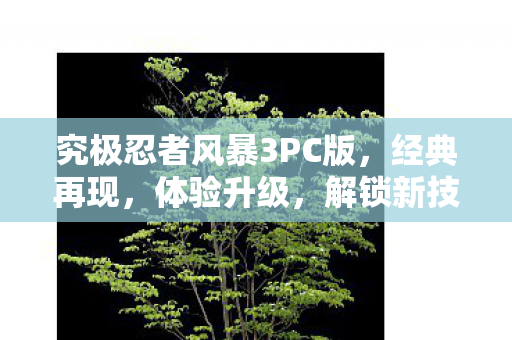 究极忍者风暴3PC版，经典再现，体验升级，解锁新技能！