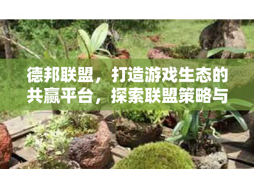 德邦联盟，打造游戏生态的共赢平台，探索联盟策略与优势