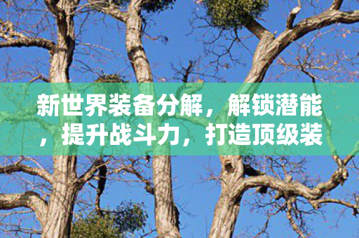 新世界装备分解,解锁潜能,提升战斗力,打造顶级装备! 新世界装备分解,解锁潜能,提升战斗力,打造顶级装备!