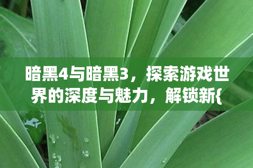 暗黑4与暗黑3，探索游戏世界的深度与魅力，解锁新{剧情}！