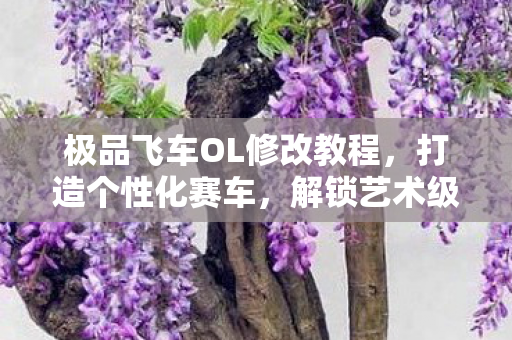 极品飞车OL修改教程，打造个性化赛车，解锁艺术级赛车技巧！