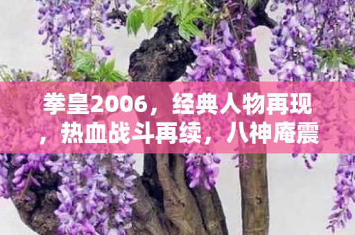 拳皇2006,经典人物再现,热血战斗再续,八神庵震撼登场! 拳皇2006,经典人物再现,热血战斗再续,八神庵震撼登场!