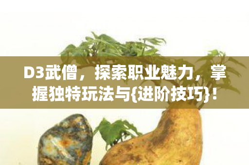 D3武僧，探索职业魅力，掌握独特玩法与{进阶技巧}！
