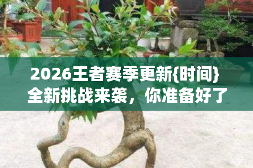 2026王者赛季更新{时间} 全新挑战来袭，你准备好了吗？