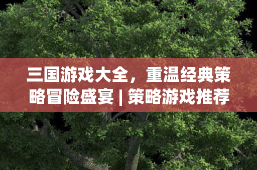 三国游戏大全，重温经典策略冒险盛宴 | 策略游戏推荐