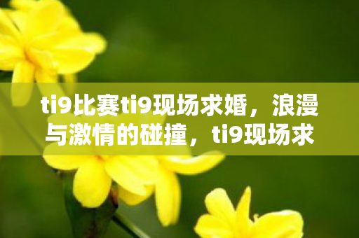 ti9比赛ti9现场求婚，浪漫与激情的碰撞，ti9现场求婚，浪漫与激情的碰撞
