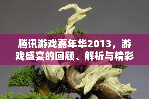 腾讯游戏嘉年华2013,游戏盛宴的回顾、解析与精彩瞬间 腾讯游戏嘉年华2013,游戏盛宴的回顾、解析与精彩瞬间